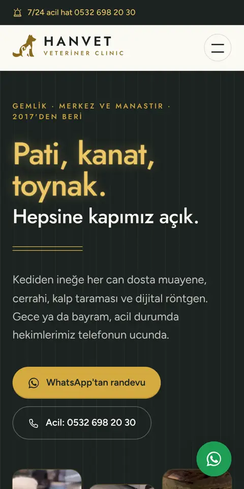 Hanvet Veteriner sitesinin telefondaki ilk ekranı